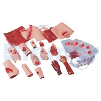 Set Trauma Maniqui Rcp Trauma Cuerpo Completo Econom